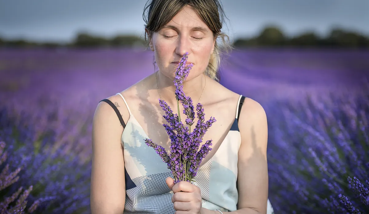 El boom de la lavanda: el remedio natural contra el estrés, el insomnio y los despertares nocturnos