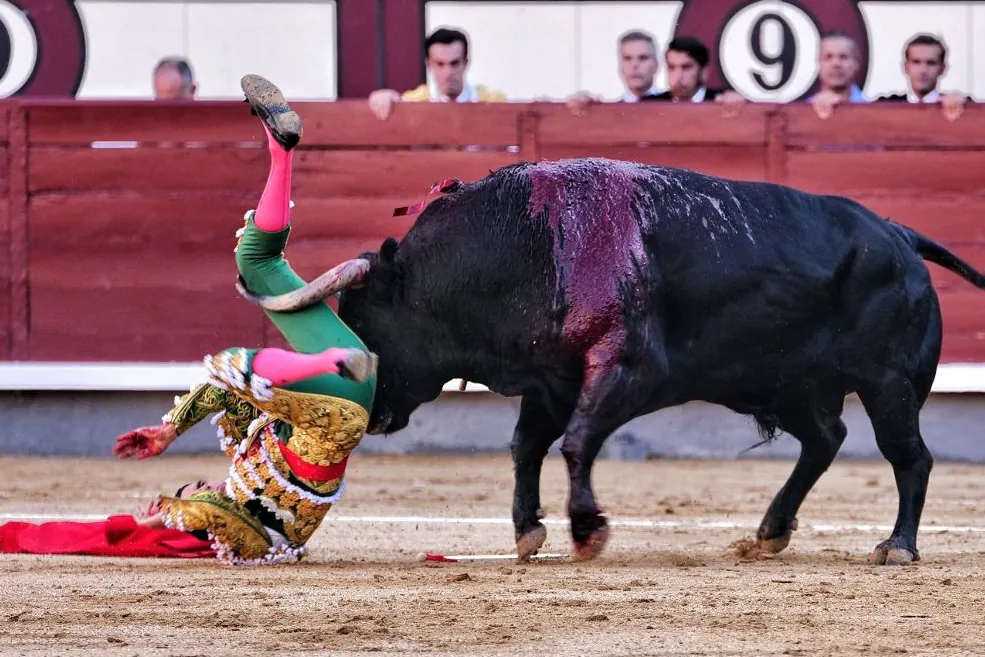 Emilio de Justo da por terminada la temporada tras sufrir la fractura de dos costillas en la dura cogida de Madrid