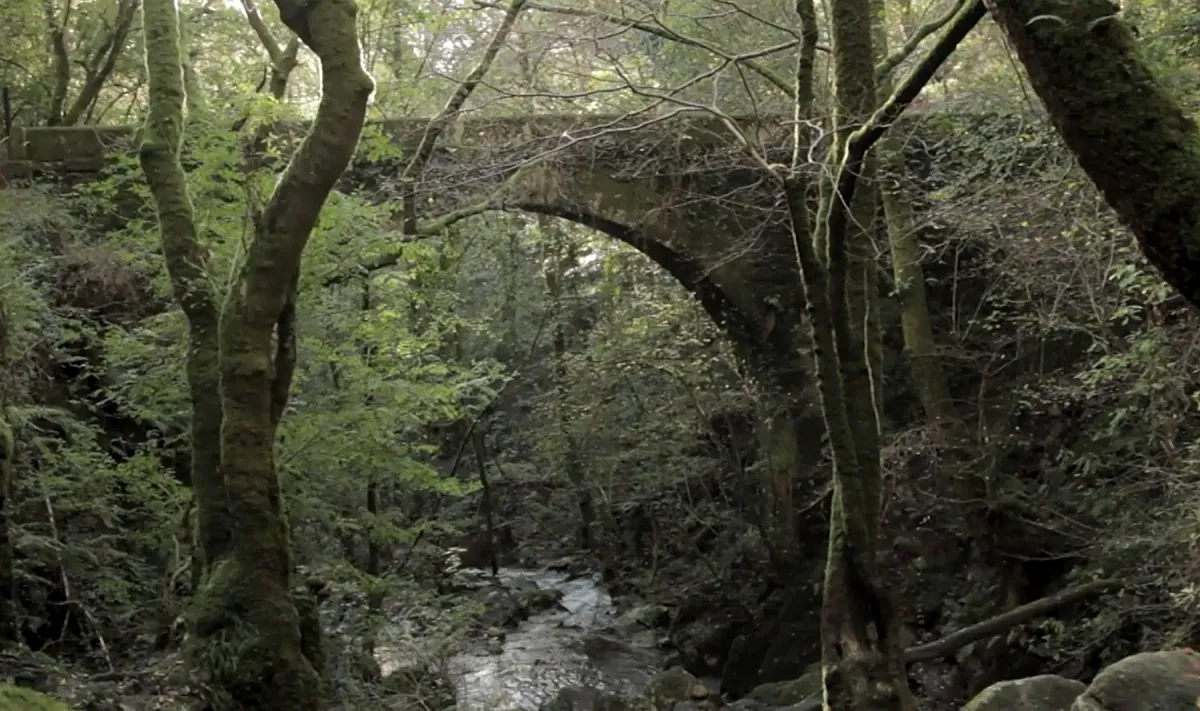 El espectacular bosque de Galicia que merece una visita en otoño: naturaleza en un valle de profundas gargantas y miradores de ensueño
