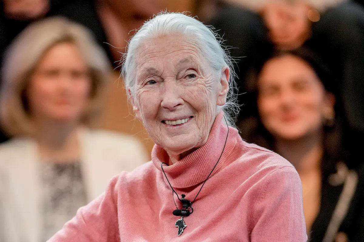 La comunidad internacional despide a Jane Goodall: "Un extraordinario legado para la humanidad y para el planeta"