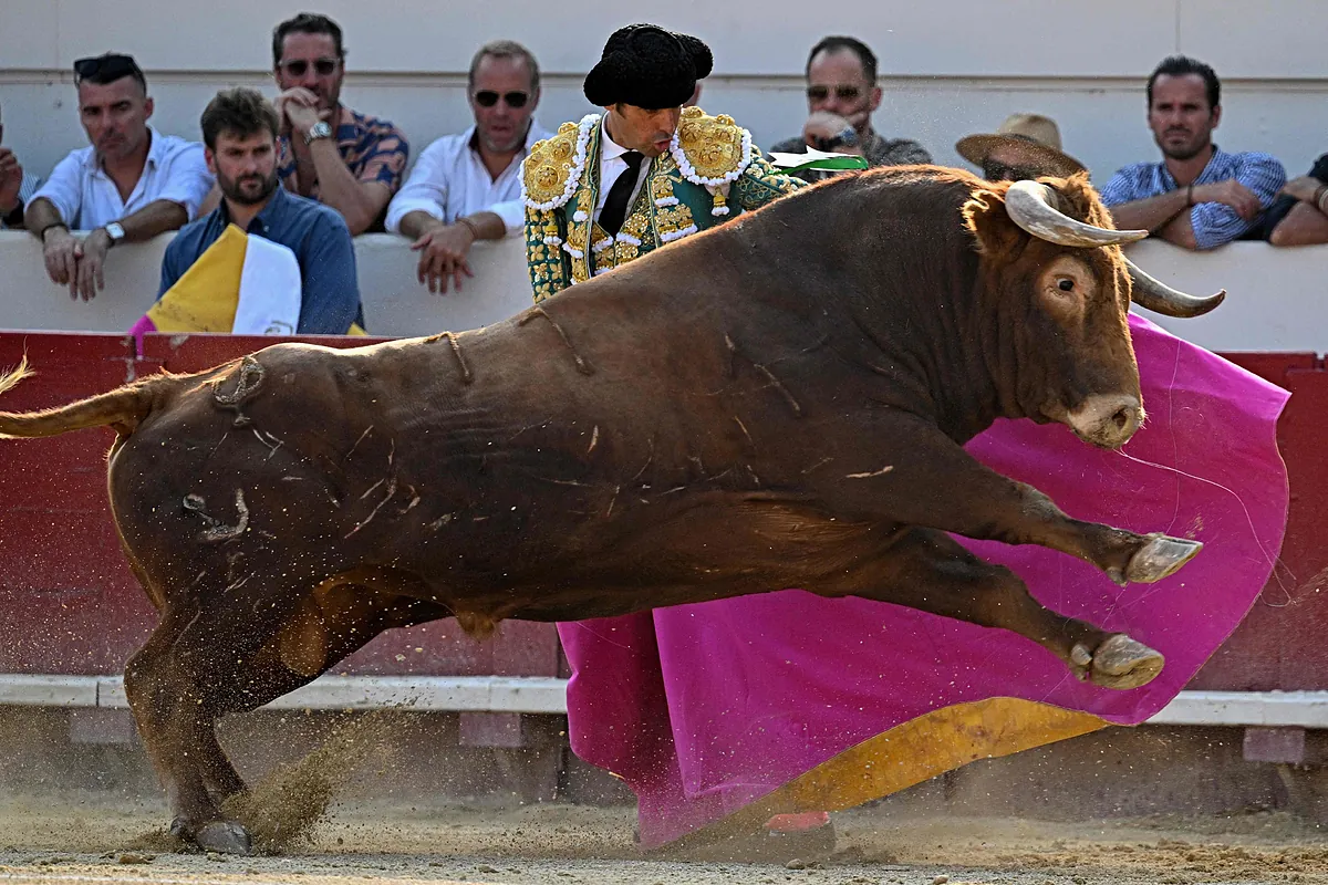 Toros en Tarazona hoy, sábado 23 de agosto: hora, quién torea y dónde ver gratis por TV