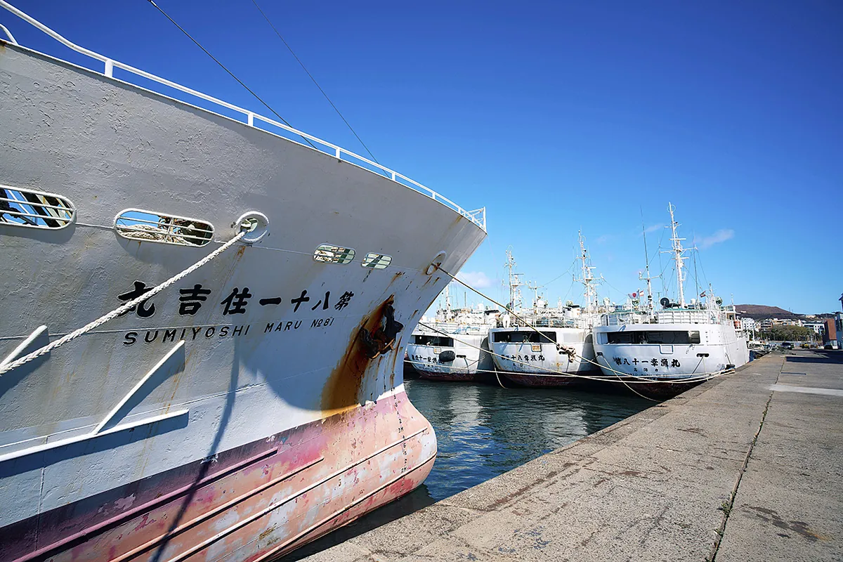 El desembarco en Canarias del 'amigo' Xi Jinping: políticos receptivos, temor geoestratégico y batalla en los puertos contra Japón y Corea