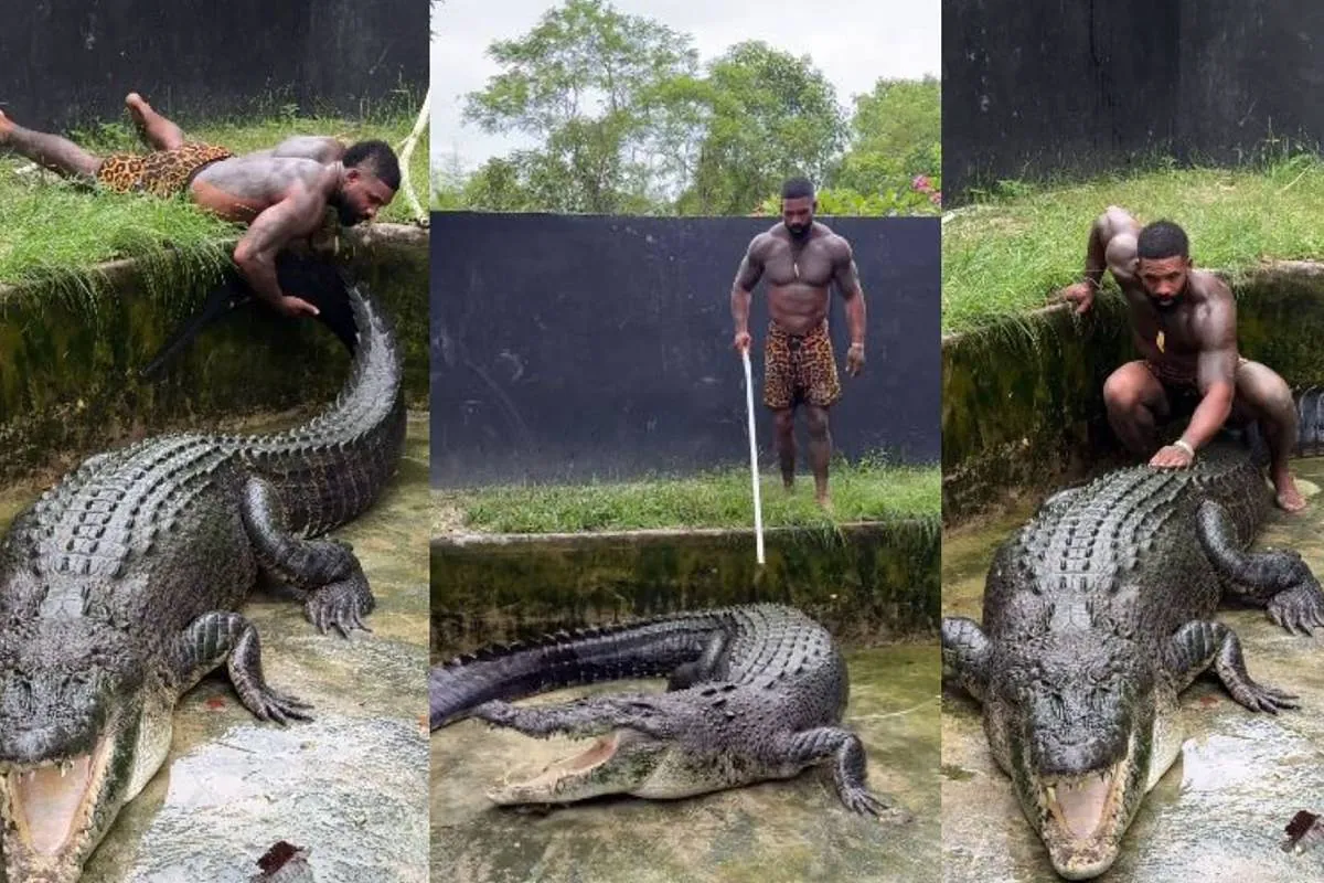 Animalistas estadounidenses piden deportar al influencer Mike Holson por maltratar a cocodrilos en Australia