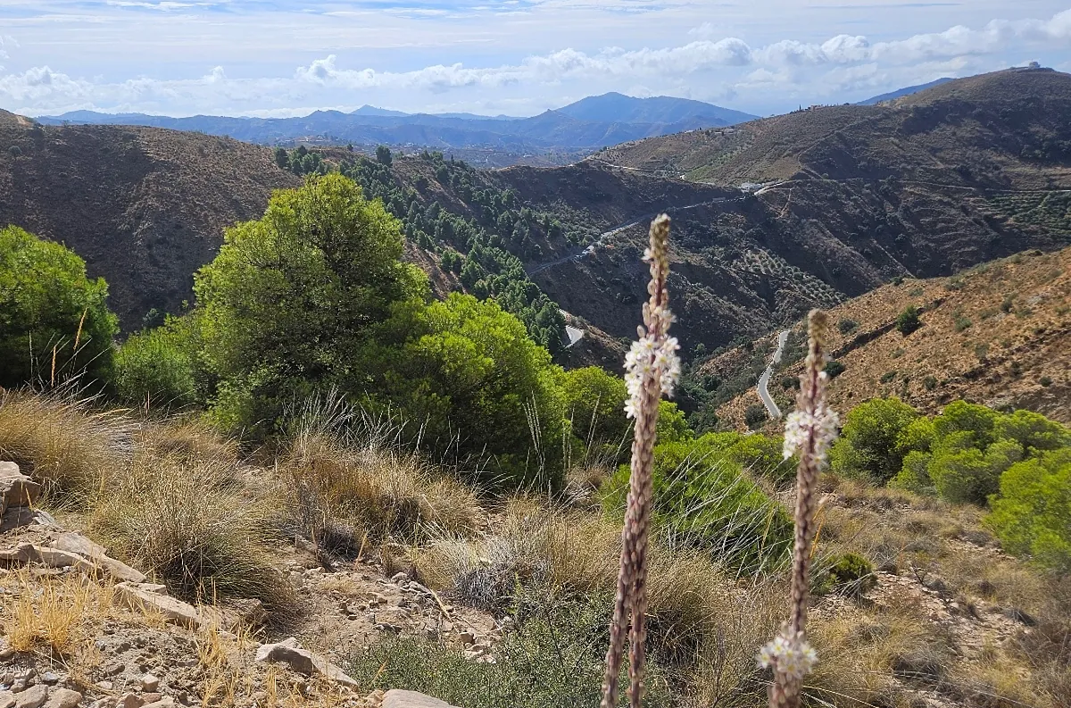 Un puente colgante de 50 metros y un paseo entre olivos y libélulas: la ruta de fin de semana perfecta para octubre