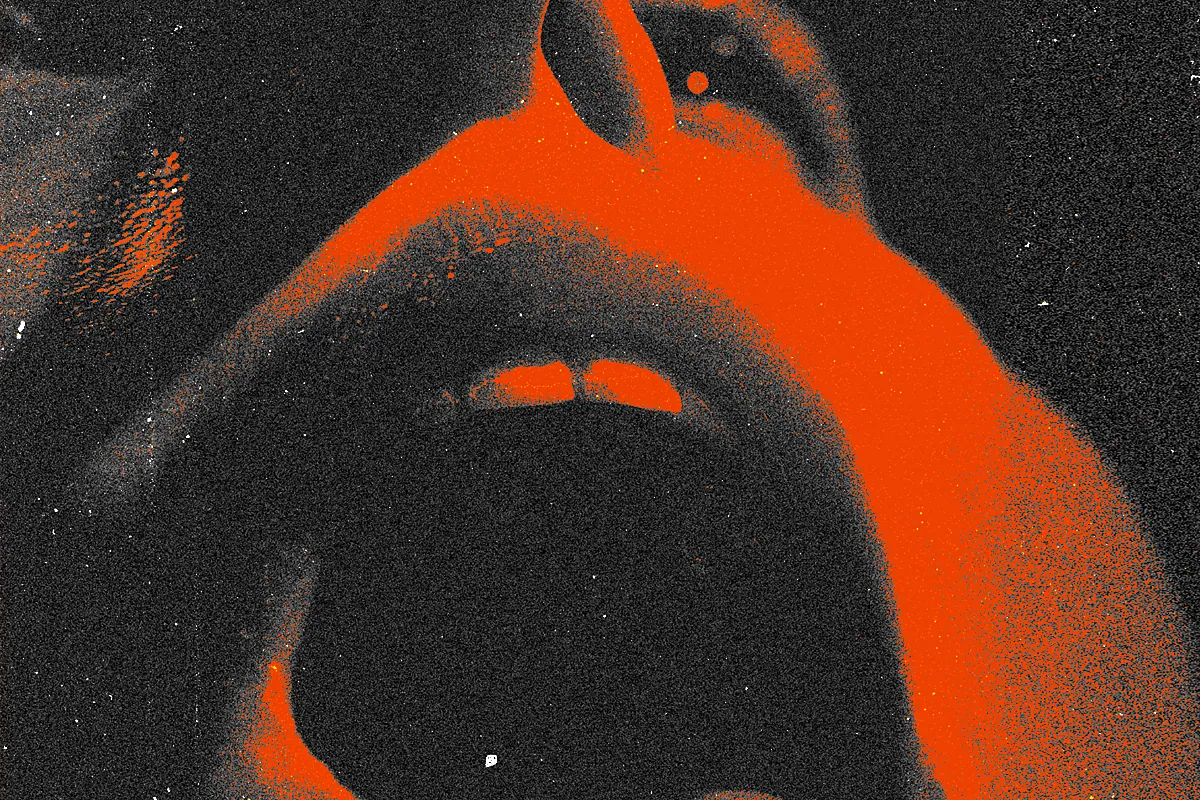 Historia oral del porno, el último tabú