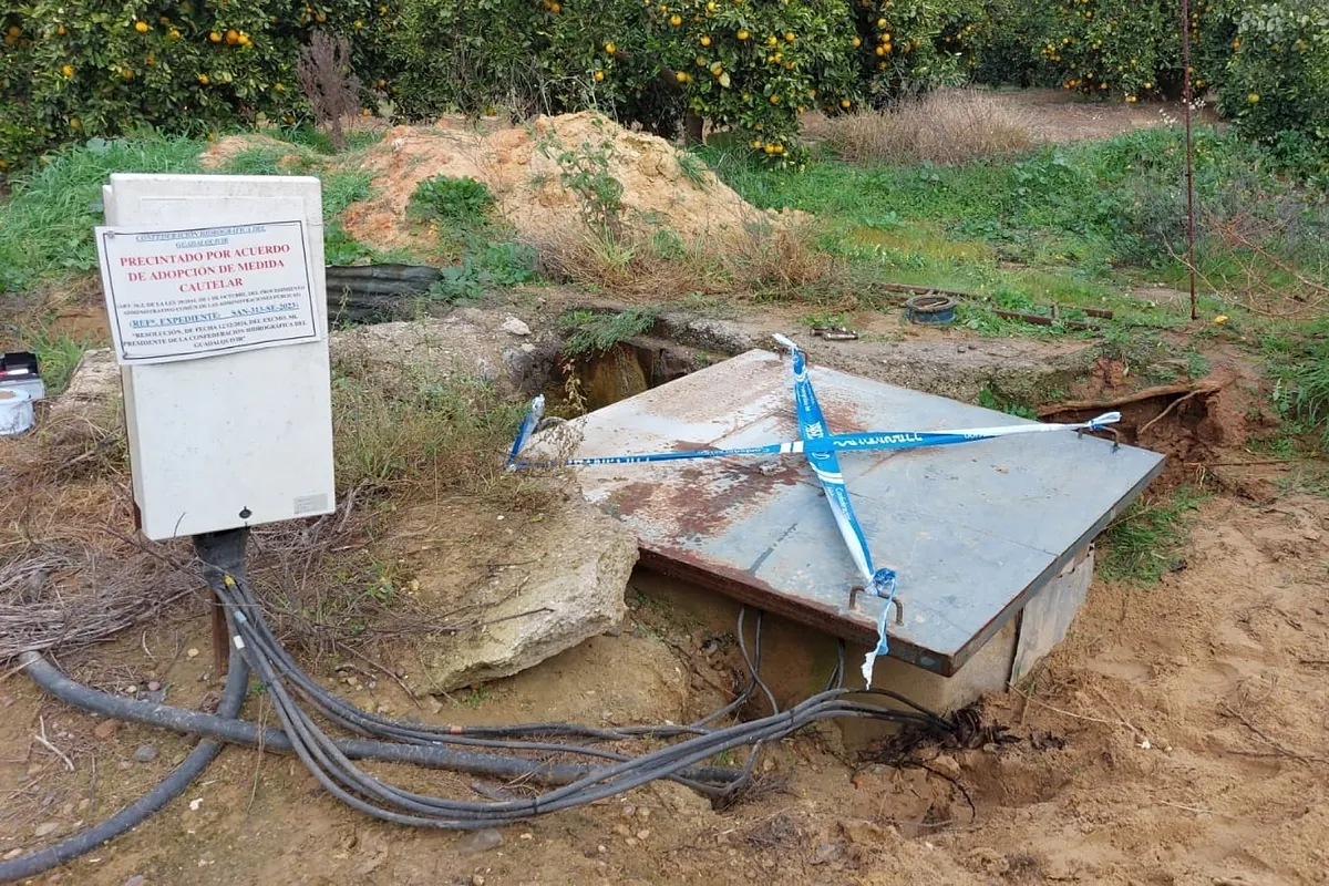 Los Alba intentan, a la desesperada, evitar la imputación por el robo de agua en su finca de Aznalcázar