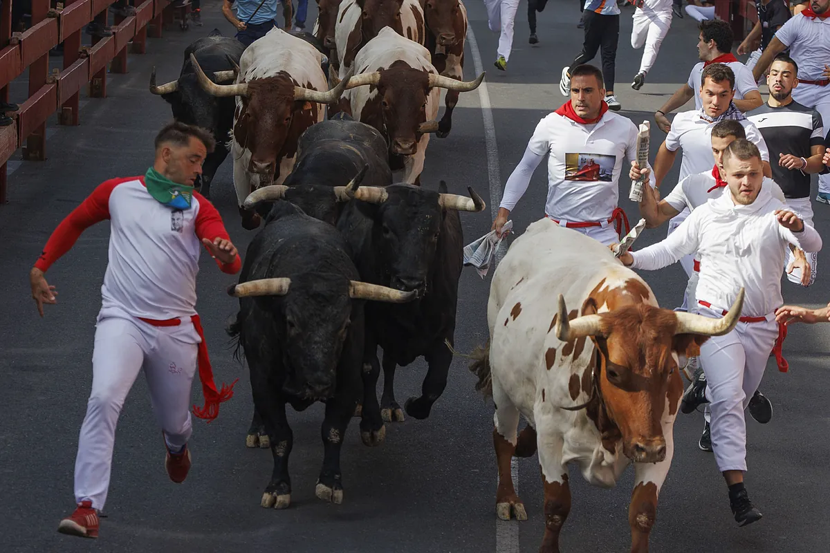 Encierro de San Sebastián de los Reyes hoy, jueves 28 de agosto: hora, dónde ver por TV y ganaderías