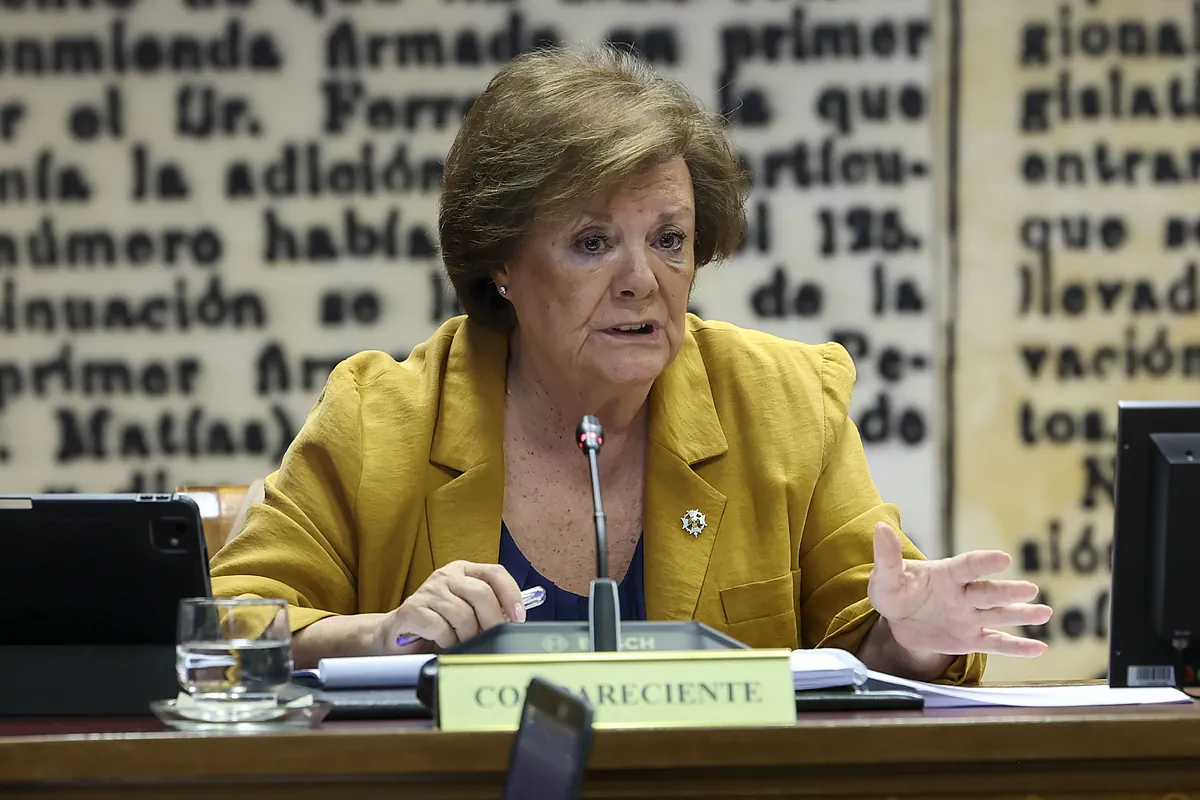 La presidenta del Tribunal de Cuentas admite que la UCO puede haber "detectado" irregularidades en los pagos del PSOE a los que no haya tenido acceso su institución