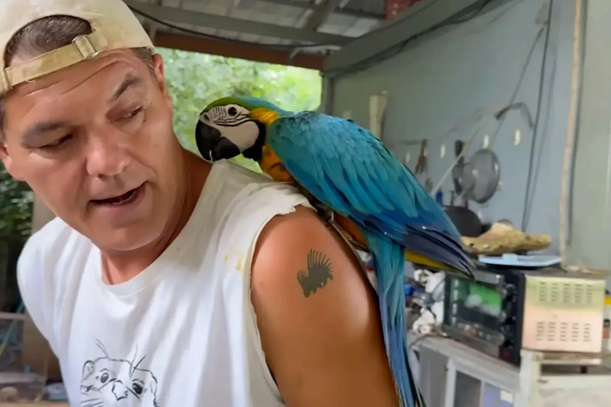 El audio completo de Frank Cuesta hablando con la mayor traficante de animales de Tailandia