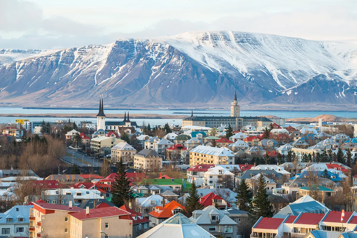 El mosquito conquista su penúltima frontera: detectan por primera vez tres ejemplares de este insecto en Islandia