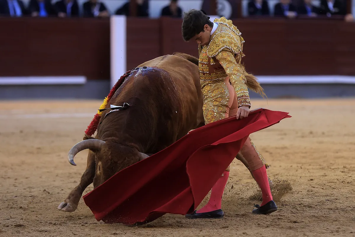 En yüksek projeksiyona sahip bullfighter Aarn Palacio alternatifine ulaşıyor: “Bu günler mükemmeldi ve poster rakipsiz”