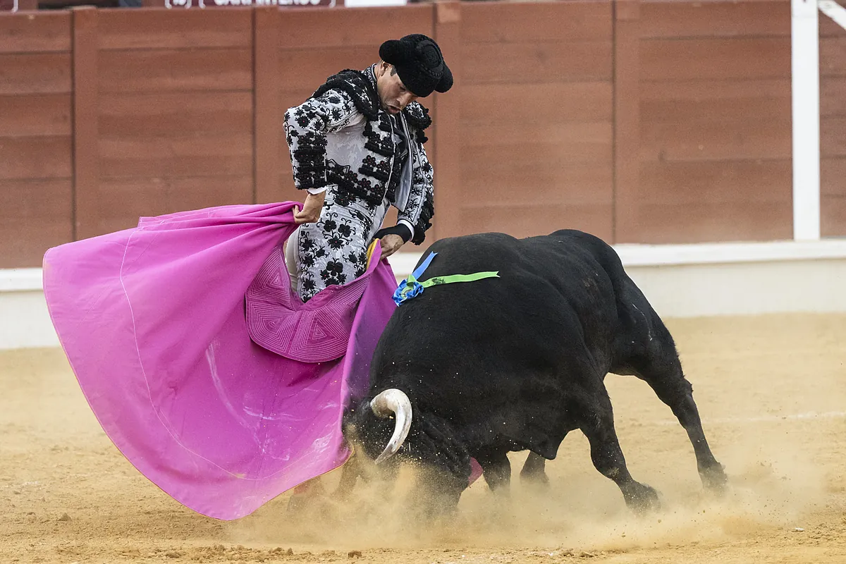 Toros en San Sebastián de los Reyes hoy: hora y quién torea este jueves 28 de agosto