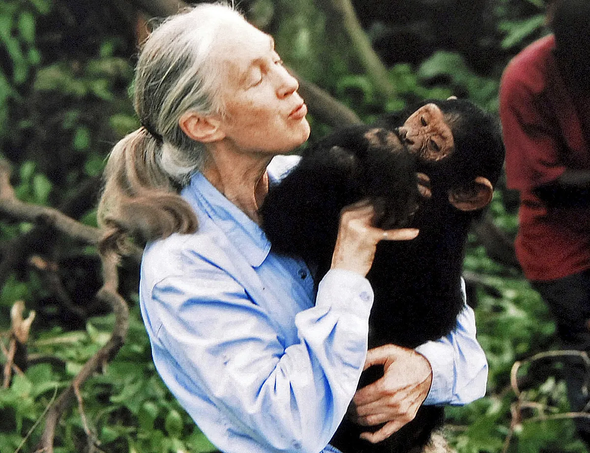 Muere Jane Goodall, la primatóloga que nos enseñó a amar el planeta