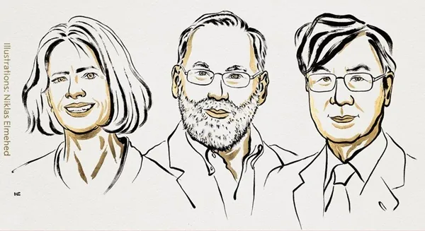 Premio Nobel de Medicina para Mary E. Brunkow, Fred Ramsdell y Shimon Sakaguchi