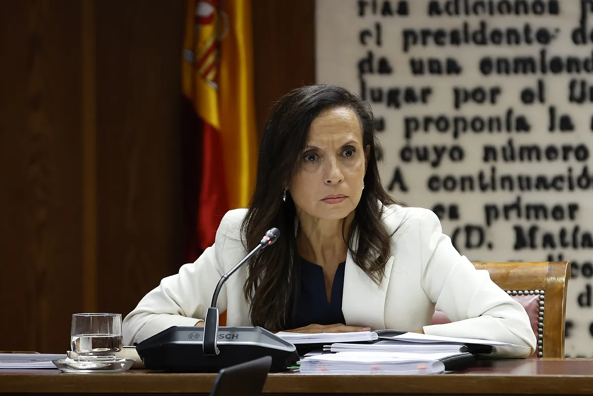 Corredor dispara contra todos en el Senado y niega cualquier error de Red Eléctrica en el apagón: "El mix energético lo decide el mercado"