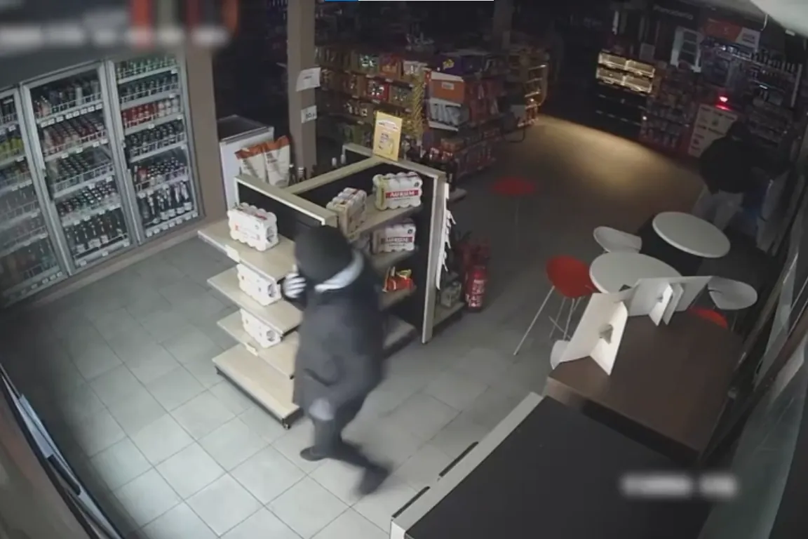 Caen dos bandas criminales tras una oleada de 42 robos con fuerza en locales de Madrid y Toledo