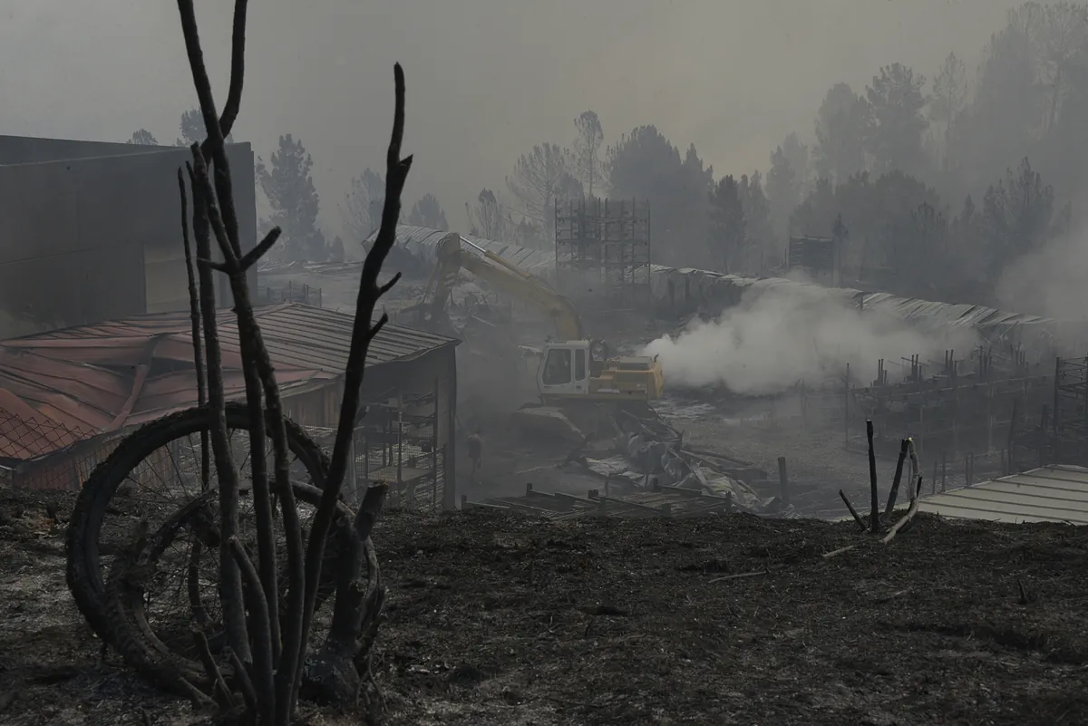 Las pérdidas económicas por los incendios de este verano rebasan ya en nueve veces las de todo 2024:  Vamos a tardar años en recuperarnos 
