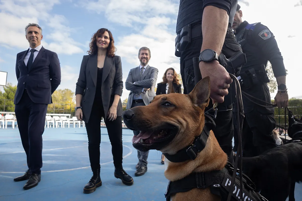 Marlaska veta el uso de fusiles a los policías locales de Madrid y la Comunidad denuncia un ataque contra su modelo de seguridad