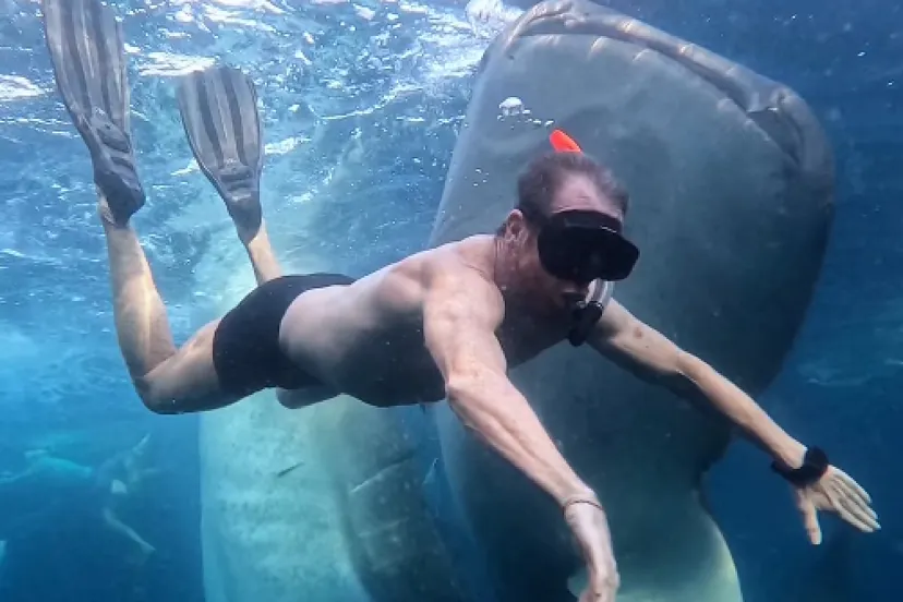 Las vacaciones entre tiburones de Pablo Motos, el gran triunfador de la  temporada | Famosos