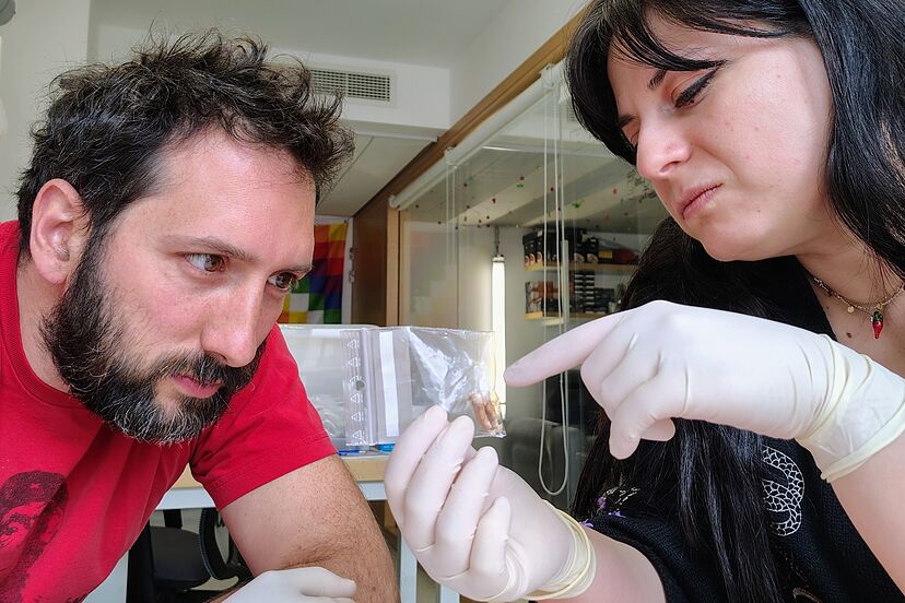 La lepra ya existía en América antes de la llegada de los europeos | Salud