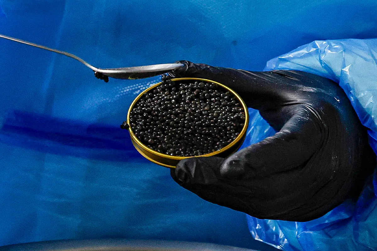 Cómo un pueblo de 24 habitantes en Teruel se convirtió en la factoría del caviar más codiciado