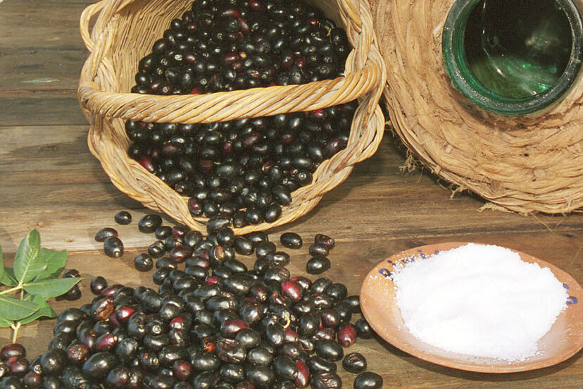 La OMC declara ilegales los aranceles de EEUU a la aceituna negra española | Ahorro y Consumo