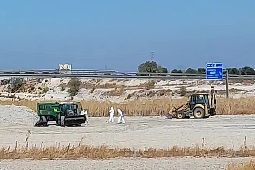 Sacrificio masivo de 450.000 gallinas en Valdemoro: fueron enterradas en una zanja, junto a la R-4, tras un brote de gripe aviar