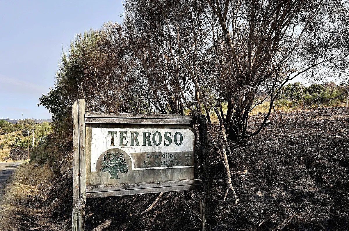 El primer incendio y el primer pirómano del agosto más cruel del fuego en España