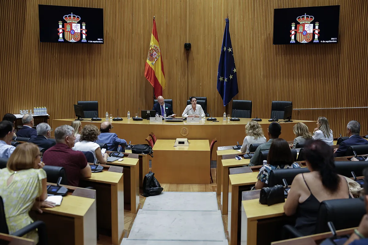 Vox da voz en el Congreso al discurso negacionista de la violencia de género e insiste en la "correlación" entre inmigración irregular y delitos sexuales
