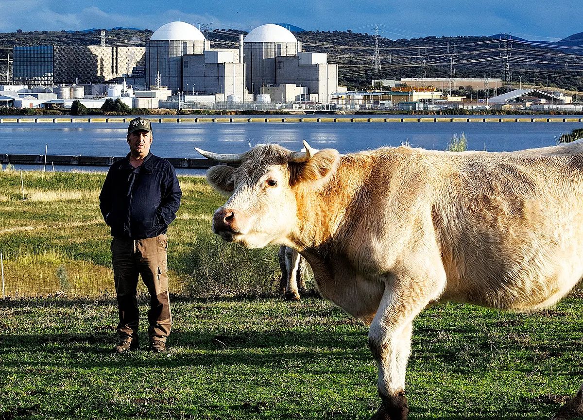 Almaraz, el botón nuclear de la campaña en Extremadura: Nos discriminaron cuando la pusieron y nos van a discriminar al quitarla
