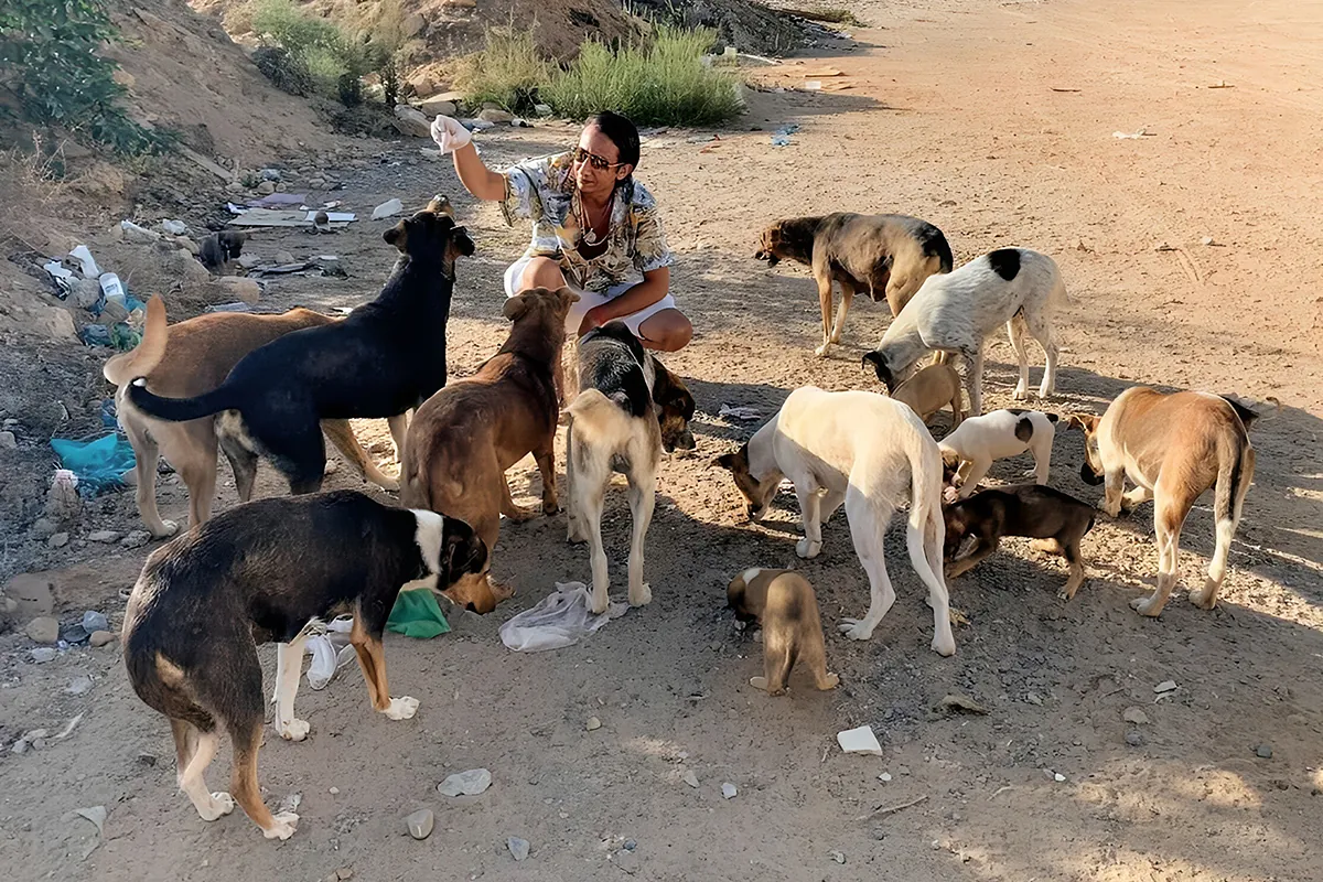 Marruecos contra los animalistas: persecución por "homosexual" contra el protector de los perros del Mundial 2030