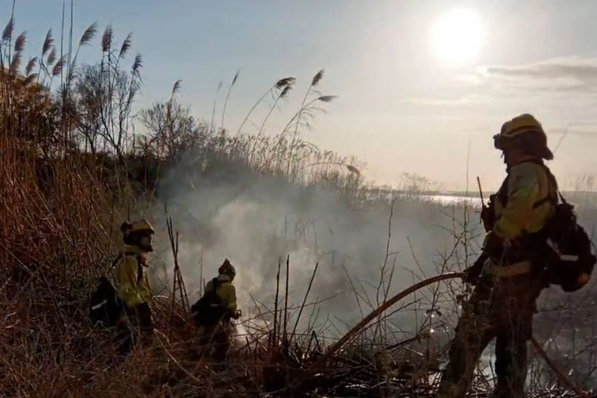 Un incendio en Benalmádena (Málaga) obliga a desalojar viviendas y cortar la línea del Cercanías