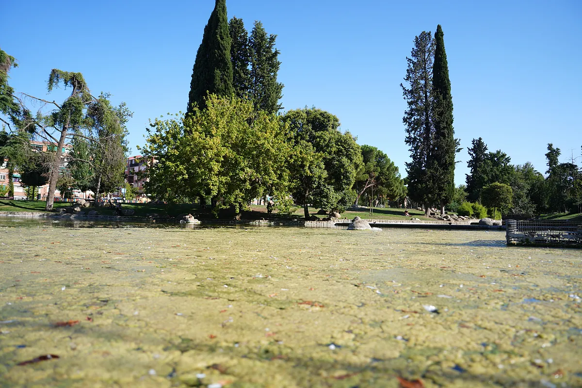 Los vecinos denuncian la degradación del histórico Parque de Aluche: equipamientos en mal estado, suciedad y una plaga de ratas en las zonas infantiles