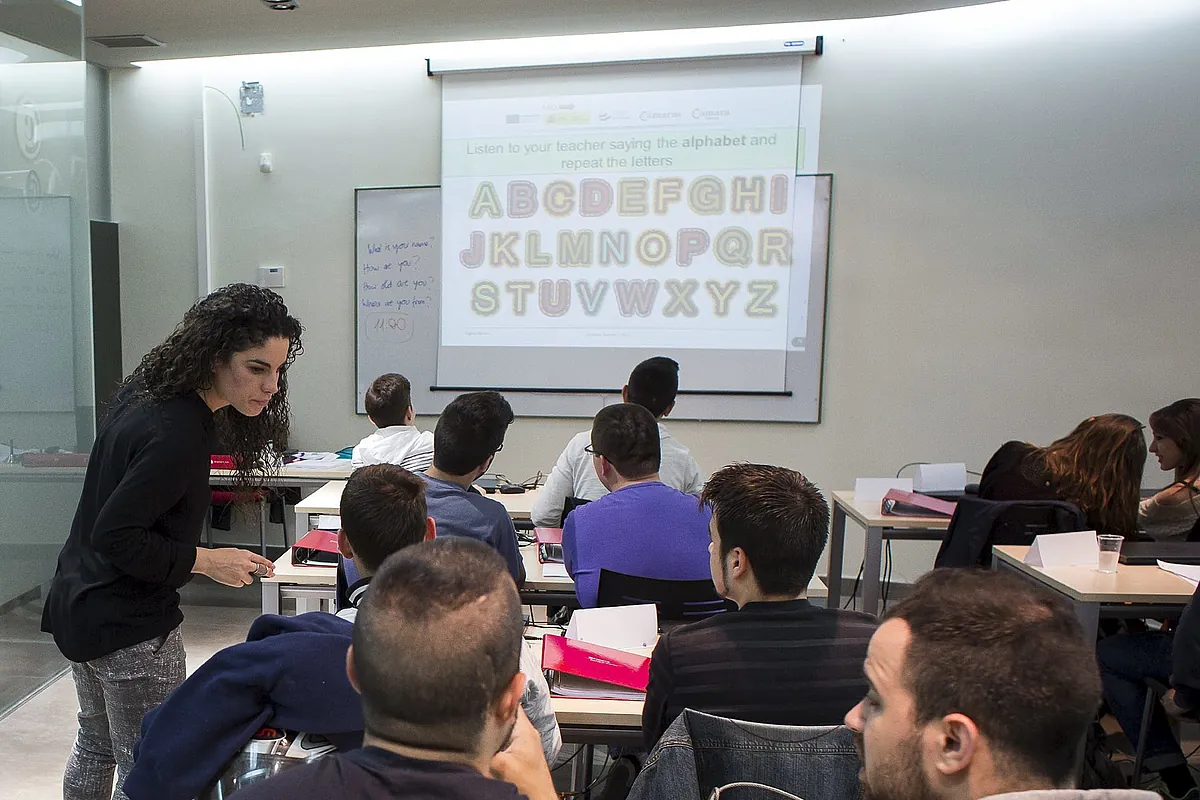 La OCDE destaca dos lacras de la educación española: un tercio de los adultos con bajo nivel de comprensión lectora y de nuevo en cabeza de la UE en 'ninis'