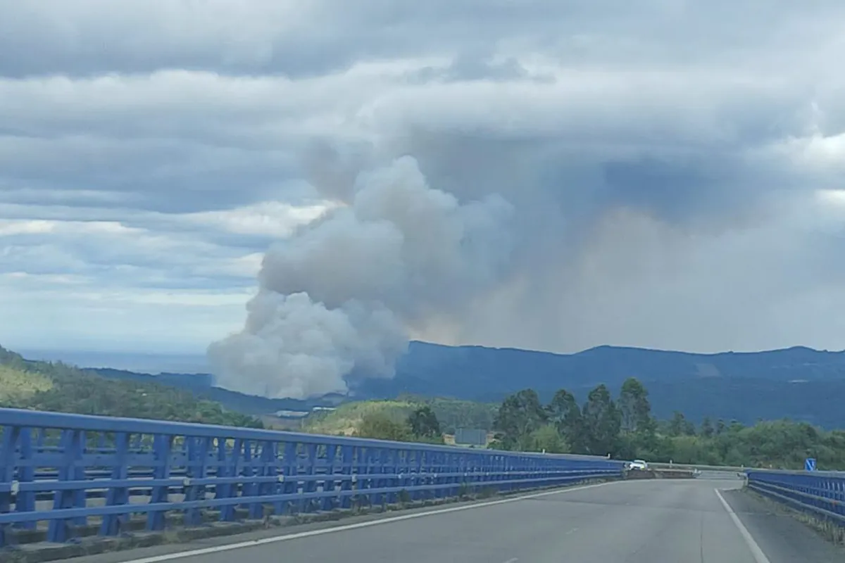 Cinco brigadistas heridos con quemaduras de diferente consideración en el incendio de Barreiros (Lugo)