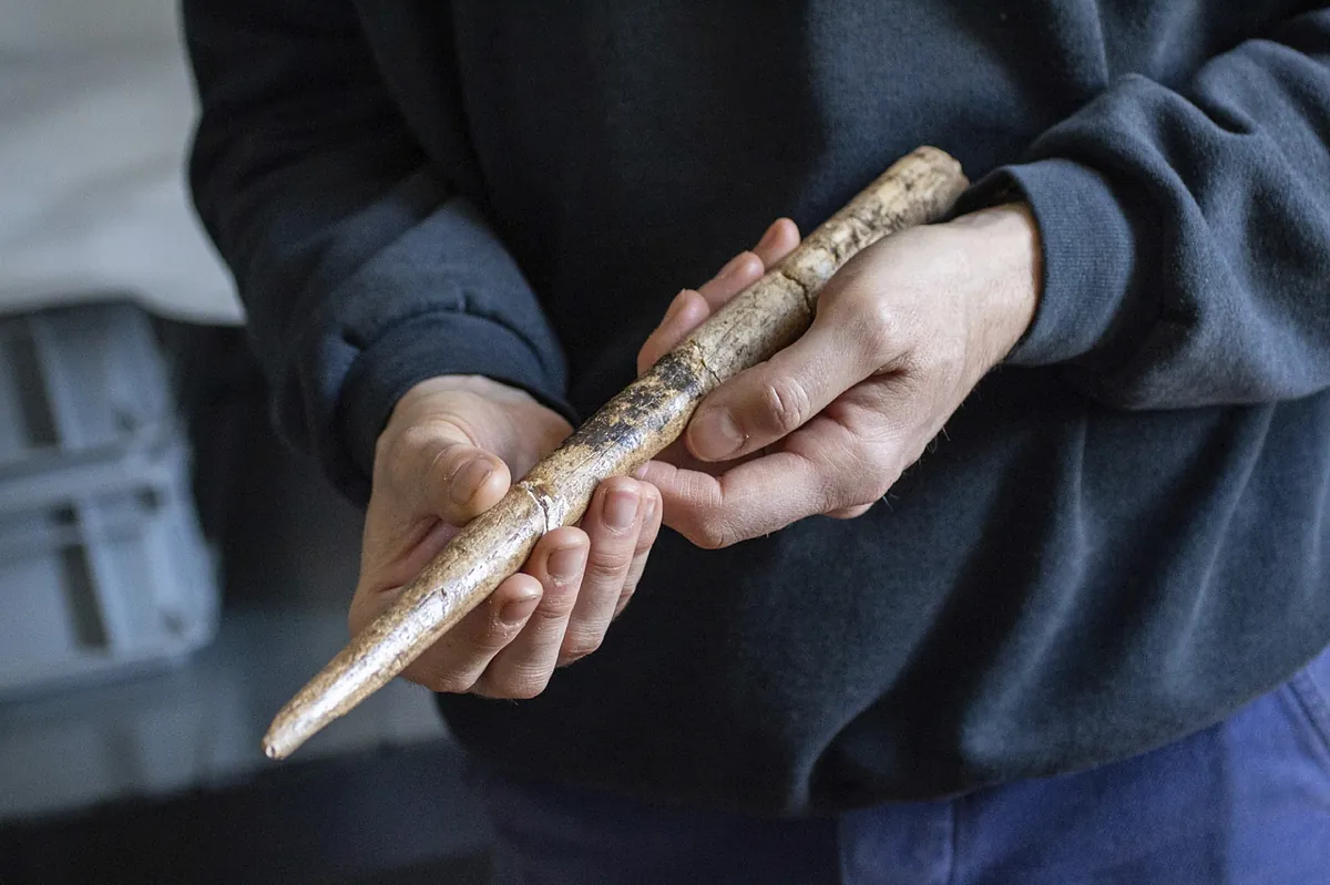 Los ancestros de los vascos fabricaron las primeras armas conocidas hechas con huesos de ballena