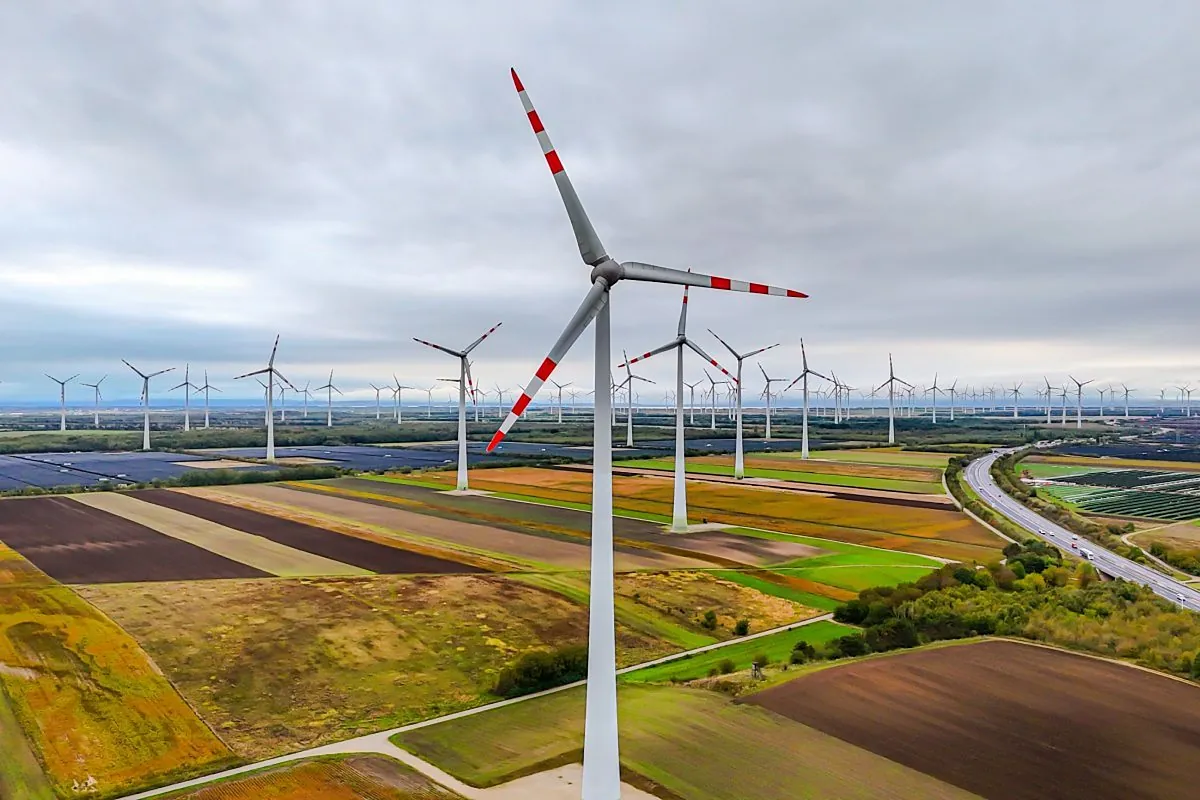 Europa y España siguen poniendo nuevas semillas para conseguir una mayor eficiencia energética