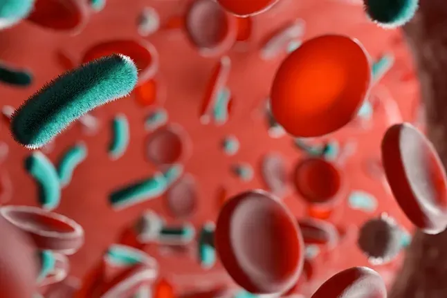 17.000 españoles mueren cada año a causa de una sepsis