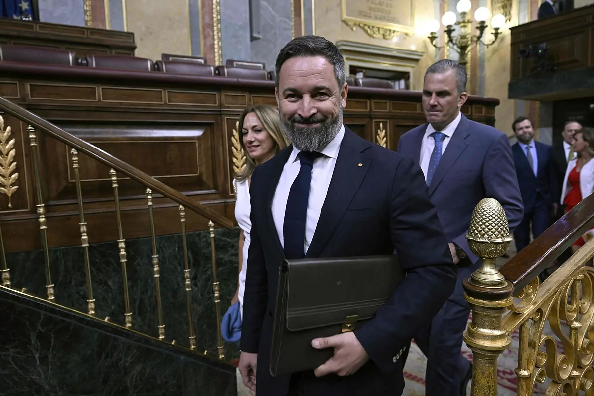 Abascal a Sánchez: "Celebro haberle oído por primera vez una denuncia clara  de las mafias de la inmigración" | España