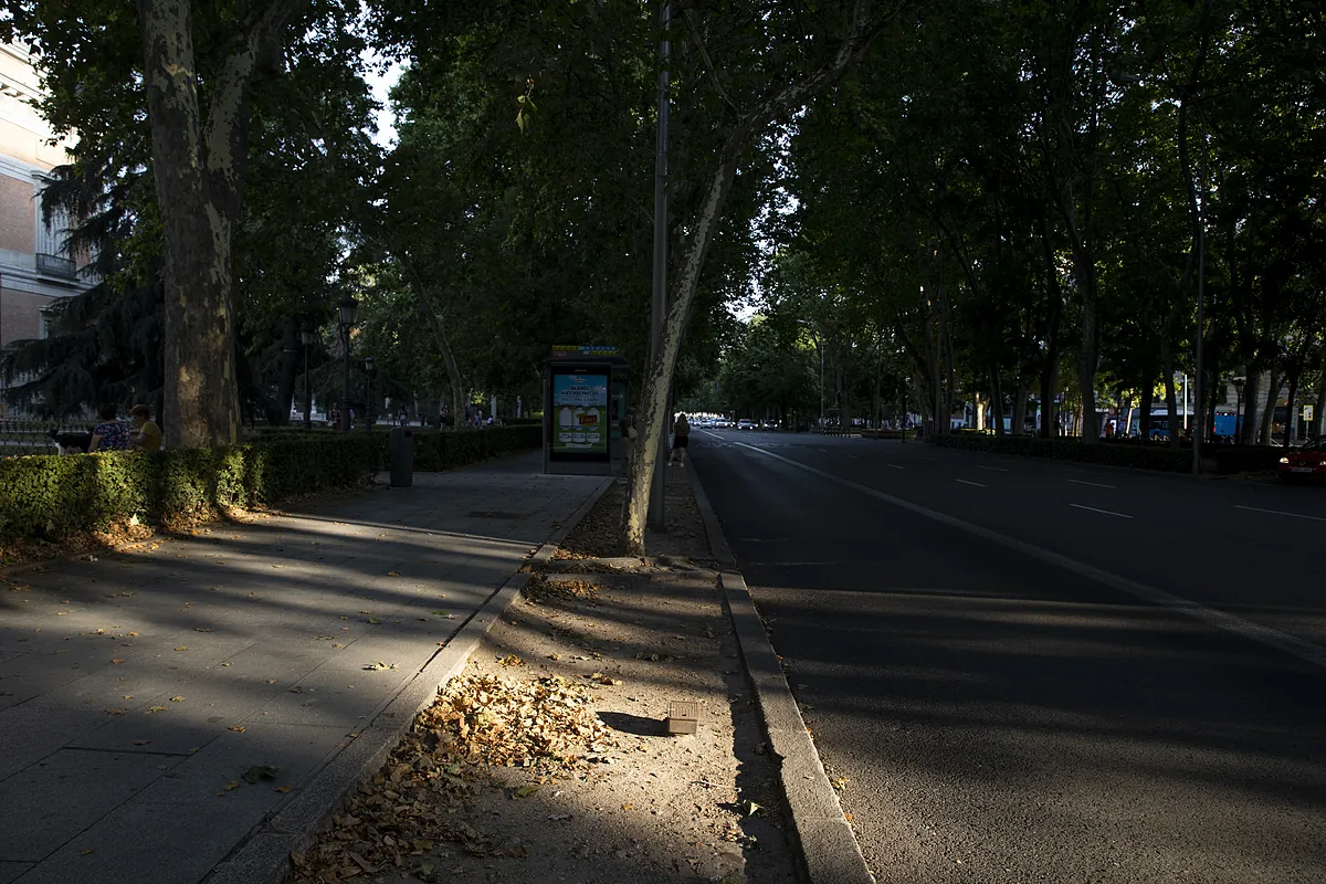 Detenido un conductor de VTC al dar positivo en droga tras atropellar a un turista ebrio en el Paseo del Prado