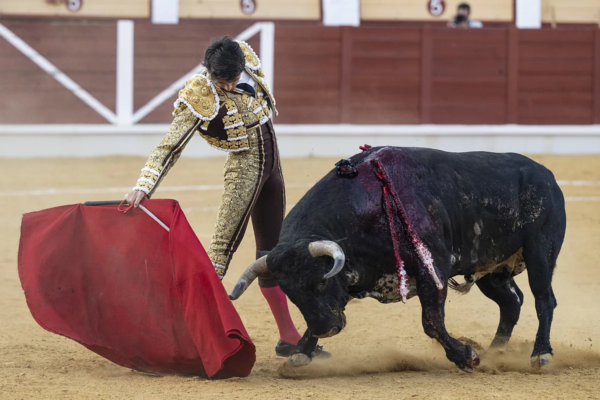 Toros en San Sebastián de los Reyes hoy: hora y quién torea este miércoles 27 de agosto