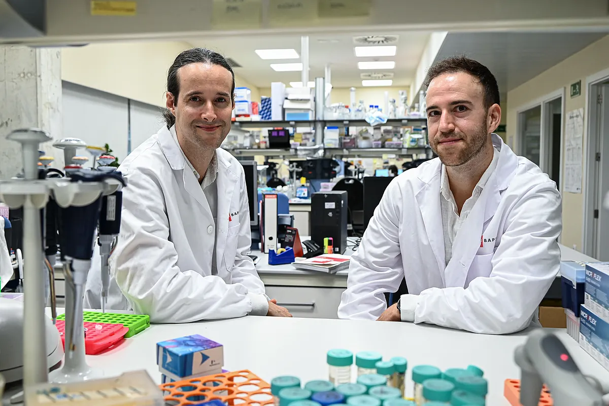 Investigadores españoles diseñan un nuevo método para abrir la 'caja negra' del cáncer