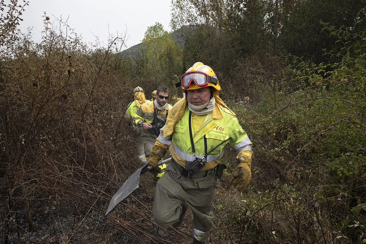 Orman itfaiyeci kategorisinden bir DTRS DCADA: “30 yıllık yangınları olan biri av kalemi olup olmadığını nasıl haklı çıkarır?”