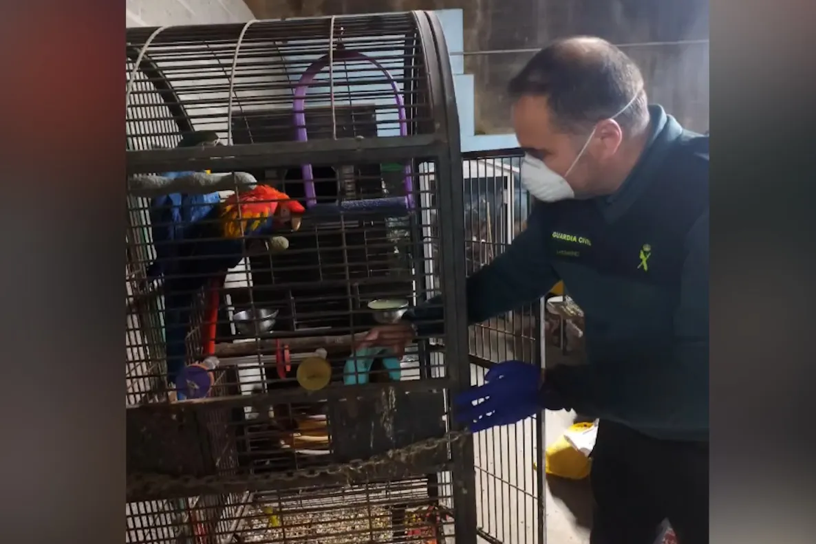 La Guardia Civil localiza 250 cadáveres y 171 animales en riesgo vital en un criadero clandestino de Ordes (A Coruña)