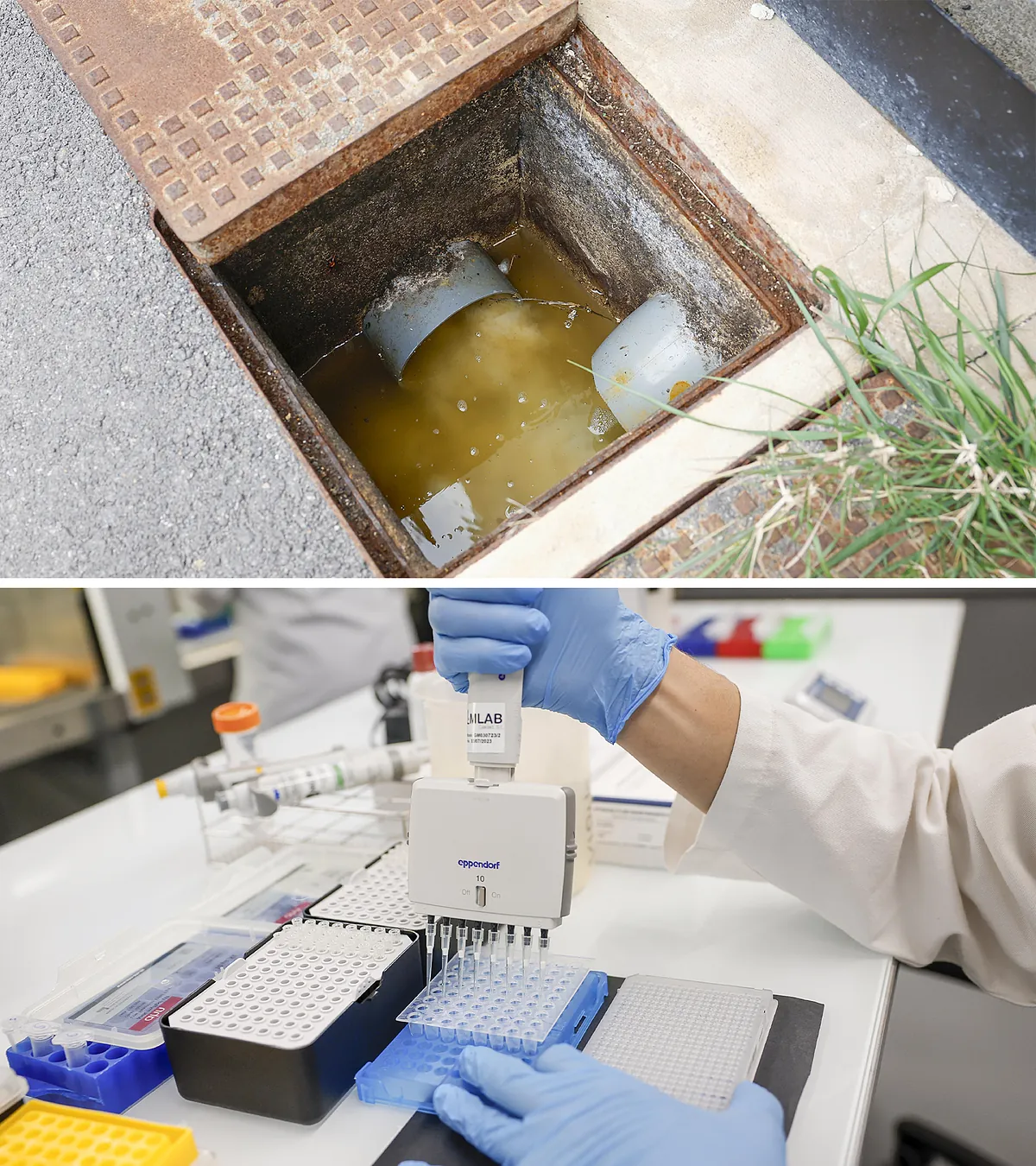 Detectives de aguas residuales:  Hay toda una mina de datos escondidos en las alcantarillas 