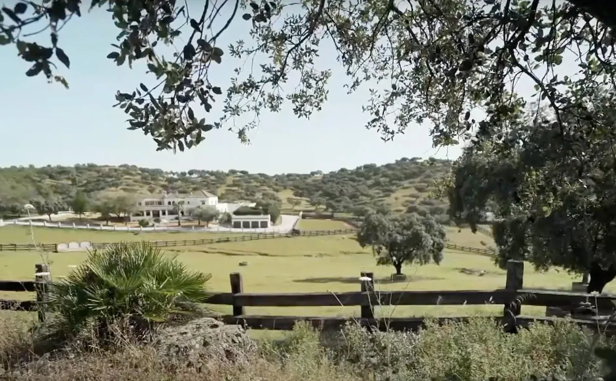 Así es el 'Cerro Negro', la finca de 150 hectáreas de Manuel Díaz, 'El Cordobés': entre olivos y tradición andaluza