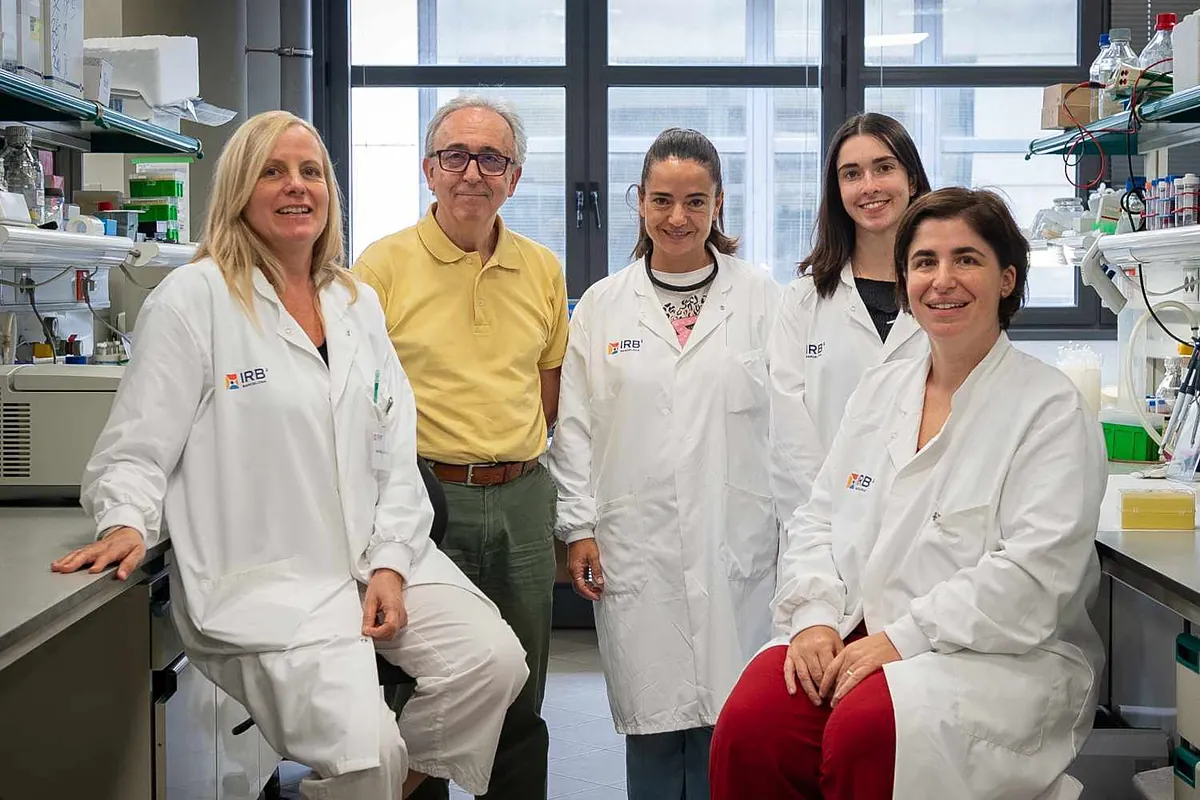 Investigadores españoles identifican una nueva estrategia para combatir la obesidad a través de la activación de la grasa parda