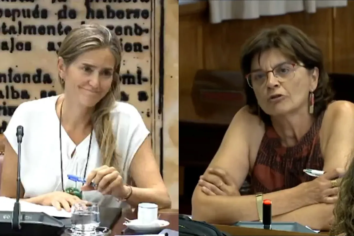Una senadora del BNG reprocha a Aagesen que diga Orense en lugar de Ourense: "Dolían los oídos"
