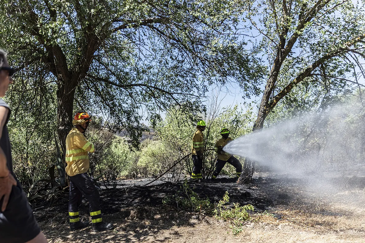 La Comunidad de Madrid hace balance positivo de los 198 incendios ocurridos en la región: el 75% quedaron en conato