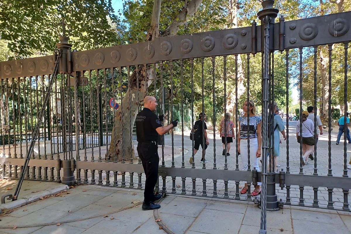 La Junta registra nueve focos de gripe aviar en la región